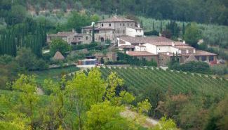 דרך היין איטליה - טיולים וסיפורים
