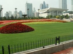 היום השלושה עשר בטיול לסין - סיור בשנחאי