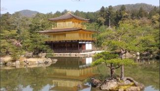 טיול ליפן מקדש הזהב בקיוטו - טיולים וסיפורים