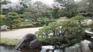 טיול ליפן האי מיאג'ימה - טיולים וסיפורים